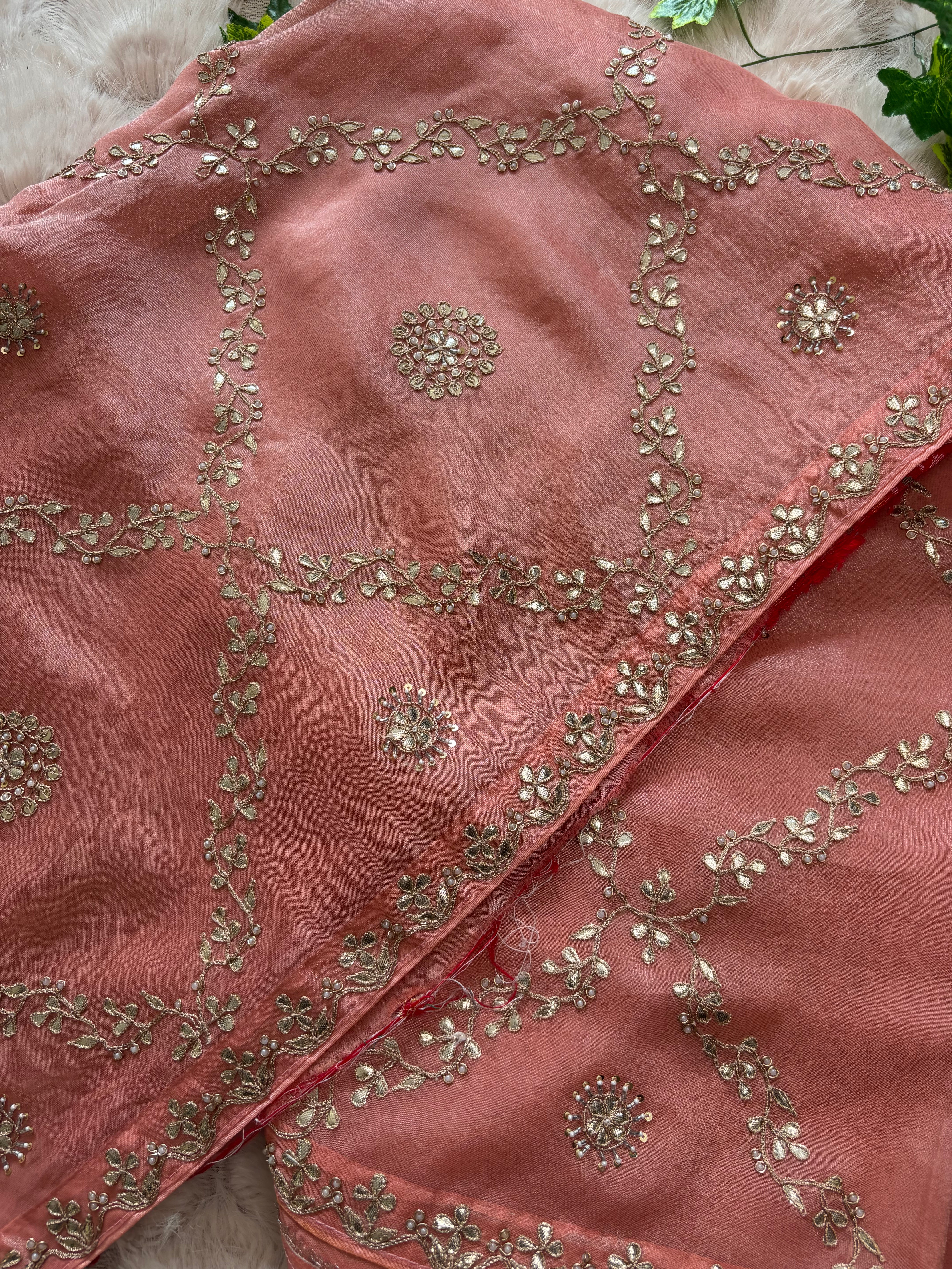 Peach Pink Cosmos Tissue Silk Saree